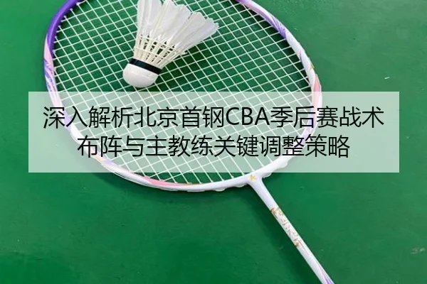 深入解析北京首钢CBA季后赛战术布阵与主教练关键调整策略